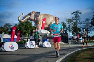 BIB: 
                            <button type="button" onclick="openModal(26541805)" class="btn btn-primary btn-sm float-right btn-popup" data-toggle="modal" data-target=".modal-high-quality">
                        <i class="fas fa-shopping-cart"></i> Add to Cart
                    </button>
                                            <button type="button" onclick="isThisMe(26541805, true)" class="btn btn-success btn-sm float-right btn-popup btn-isme hidden" data-toggle="tooltip" data-placement="bottom" title="นี่คือรูปของคุณใช่ไหม คลิกที่นี่เพื่อเอาเข้าอัลบั้ม">
                        <i class="fas fa-plus"></i> Add to album
                    </button>
                    <button type="button" onclick="isThisMe(26541805, false)" class="btn btn-warning btn-sm float-right btn-popup btn-isnotme hidden">
                        <i class="fas fa-ban"></i> Remove from album
                    </button>